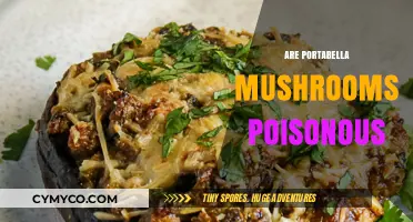 Exploring the Edibility of Portabella Mushrooms: Are They Safe to Eat?
