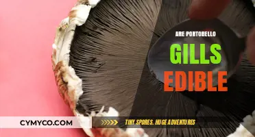 Exploring the Edibility of Portobello Mushroom Gills: A Culinary Guide