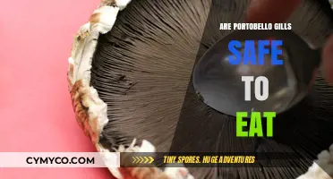 Exploring Edibility: Are Portobello Gills Safe to Eat?