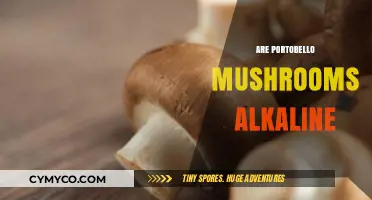 Exploring the Alkalinity of Portobello Mushrooms: A Culinary Insight