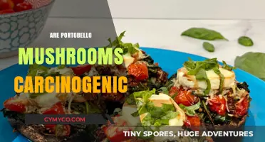 Exploring the Cancer Risk of Portobello Mushrooms: Facts and Myths