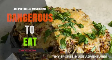 Exploring the Safety of Portobello Mushrooms: A Culinary Guide