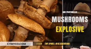 Are Portobello Mushrooms Explosive? Unraveling the Myth and Facts