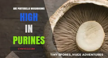 Exploring the Purine Content in Portobello Mushrooms: A Nutritional Insight