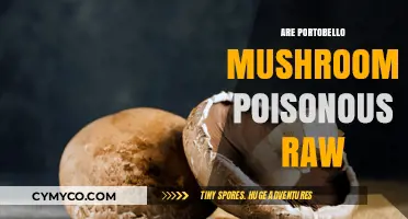 Exploring the Safety of Raw Portobello Mushrooms: A Comprehensive Guide