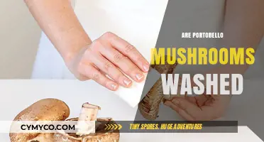 Do Portobello Mushrooms Need Washing? A Culinary Guide