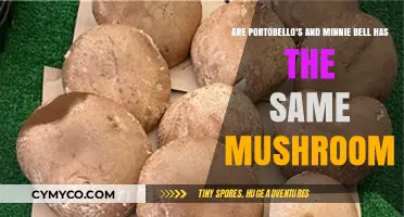 Exploring the Differences: Portobello vs. Minnie Bell Mushrooms