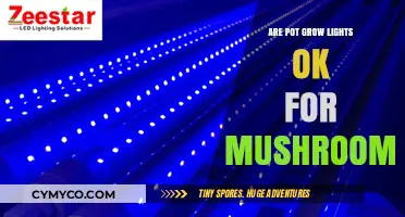 Exploring the Use of Pot Grow Lights for Mushroom Cultivation