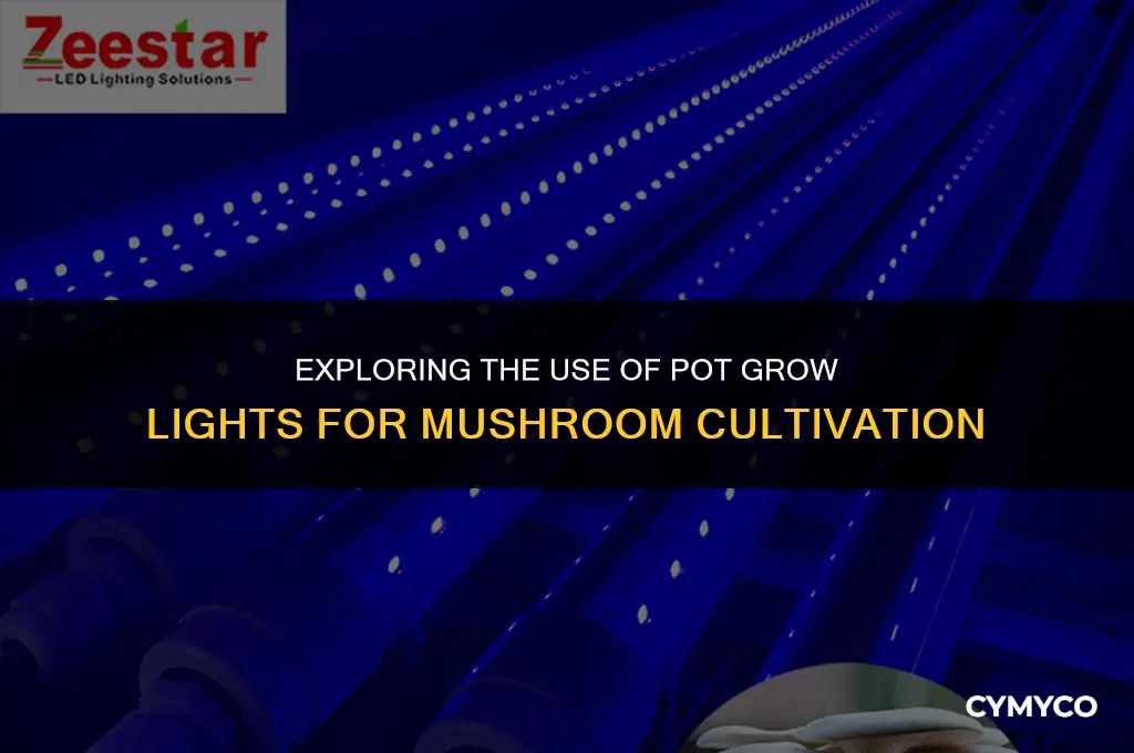 are pot grow lights ok for mushrooms