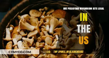 Exploring the Legality of Psilocybin Mushroom Kits in the US