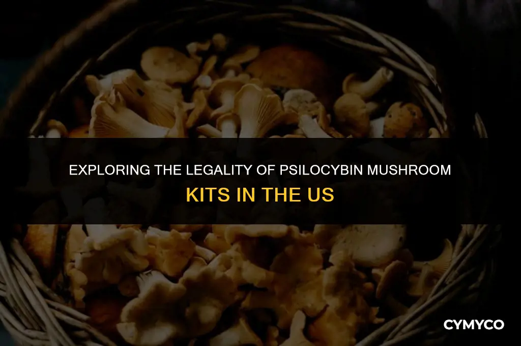 are psilicybin mushroom kits legal in the us
