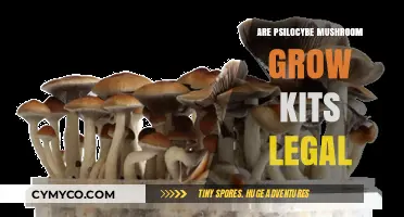 Exploring the Legality of Psilocybe Mushroom Grow Kits