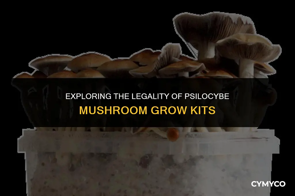are psilocybe mushroom grow kits legal