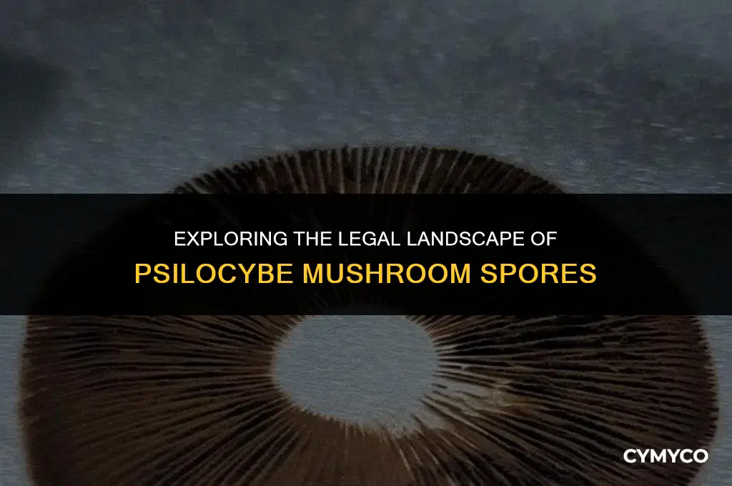 are psilocybe mushroom spores legal