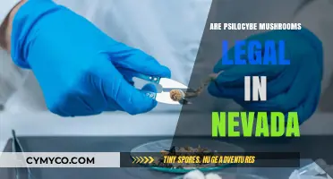 Exploring the Legal Landscape of Psilocybe Mushrooms in Nevada