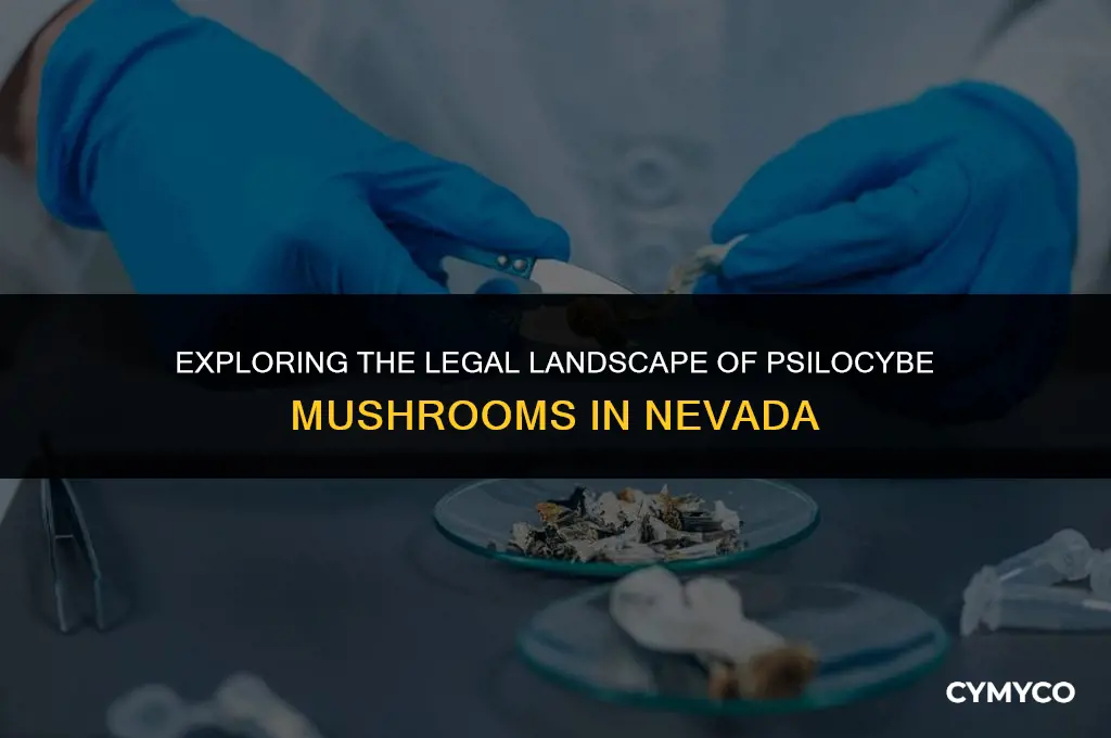 are psilocybe mushrooms legal in nevada