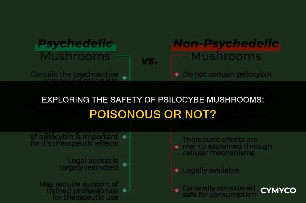 are psilocybe mushrooms poisonous
