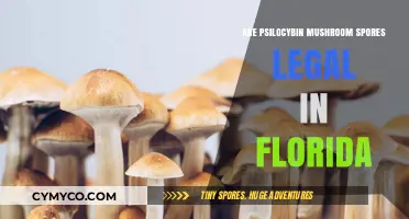 Exploring the Legal Landscape of Psilocybin Mushroom Spores in Florida
