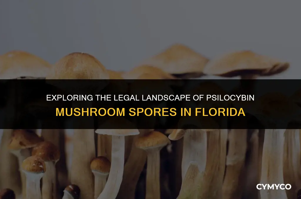 are psilocybin mushroom spores legal in florida