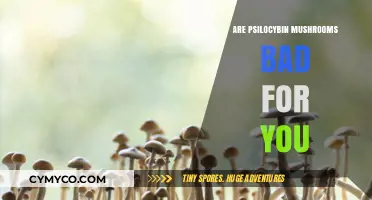 Psilocybin Mushrooms: Health Risks, Benefits, and Safety Concerns Explored