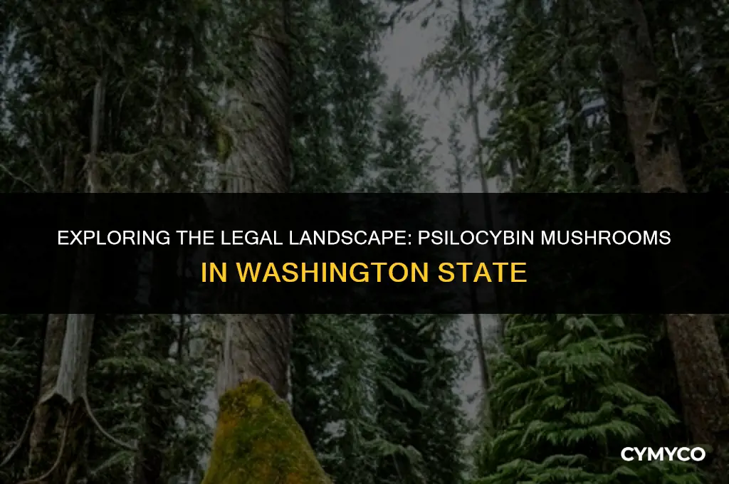 are psilocybin mushrooms being legalized in washington state