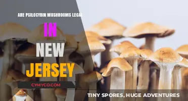 Exploring the Legal Landscape of Psilocybin Mushrooms in New Jersey