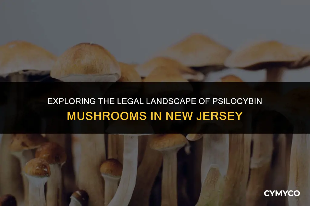 are psilocybin mushrooms legal in new jersey