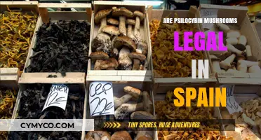 Exploring the Legal Landscape of Psilocybin Mushrooms in Spain