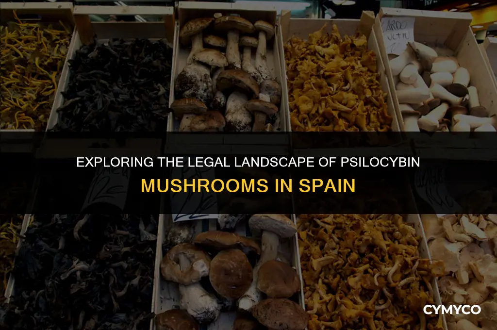 are psilocybin mushrooms legal in spain