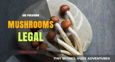 Exploring the Legal Landscape of Psilocybin Mushrooms: A Comprehensive Guide