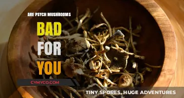 Exploring the Effects: Are Psychedelic Mushrooms Harmful?