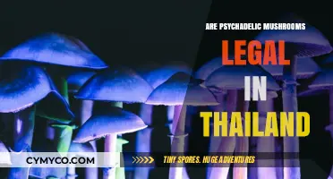 Exploring the Legal Landscape of Psychedelic Mushrooms in Thailand