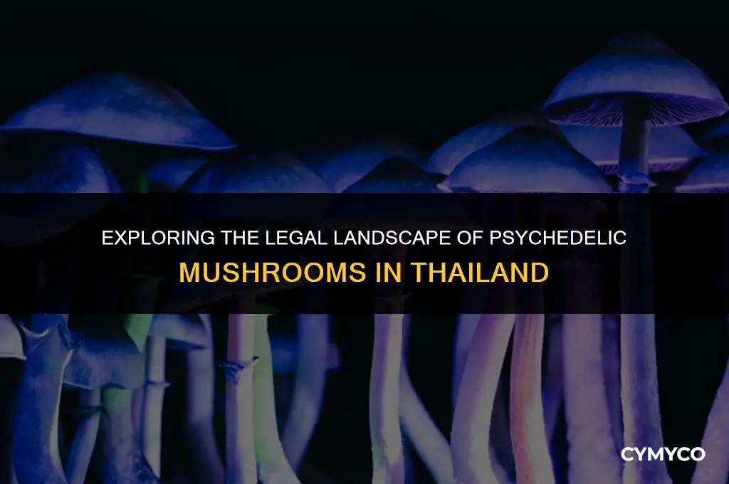 are psychadelic mushrooms legal in thailand