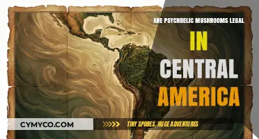 Exploring the Legal Landscape of Psychedelic Mushrooms in Central America