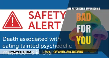Psychedelic Mushrooms: Unveiling Potential Risks and Health Implications