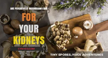 Exploring the Effects of Psychedelic Mushrooms on Kidney Health