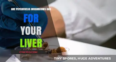 Exploring the Effects of Psychedelic Mushrooms on Liver Health