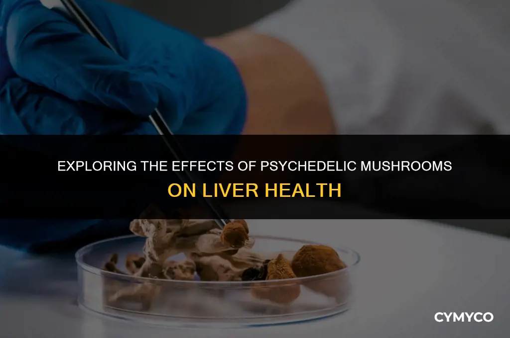 are psychedelic mushrooms bad for your liver