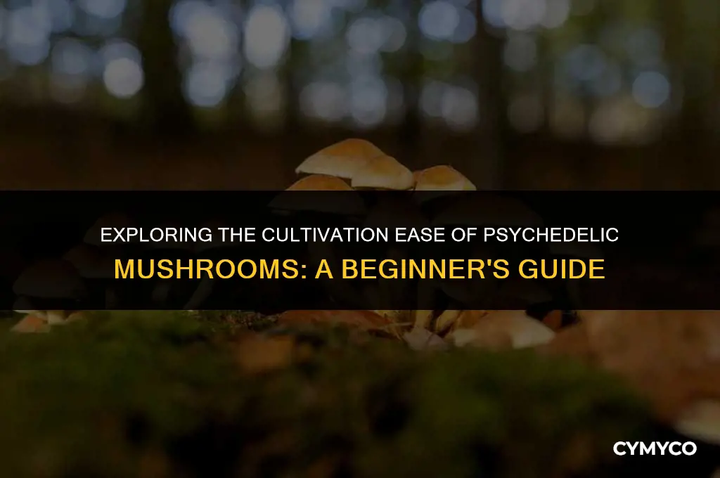 are psychedelic mushrooms easy to grow