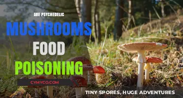 Exploring the Risks: Psychedelic Mushrooms and Food Poisoning