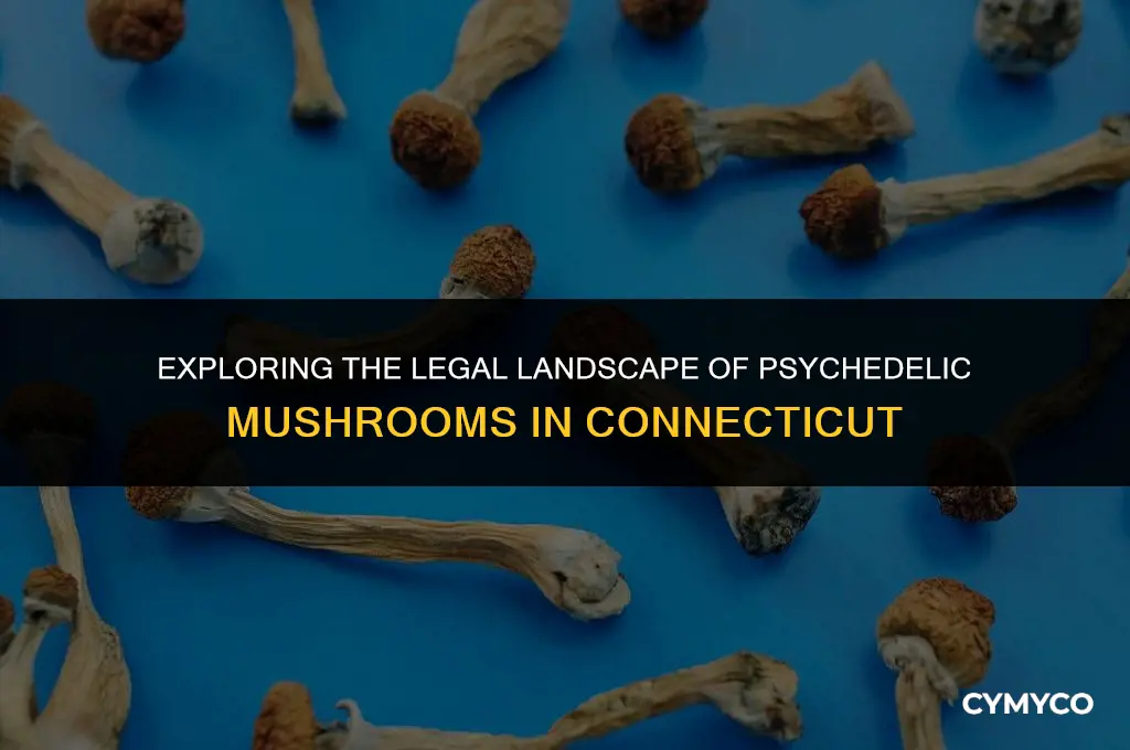 are psychedelic mushrooms legal in connecticut