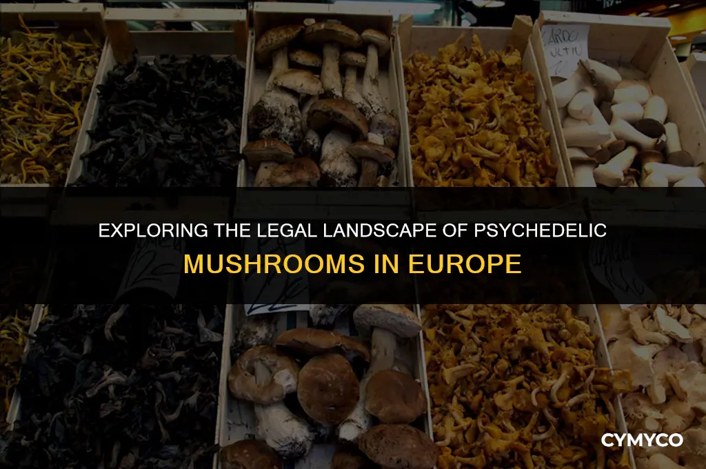 are psychedelic mushrooms legal in europe