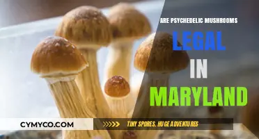 Exploring the Legal Landscape of Psychedelic Mushrooms in Maryland