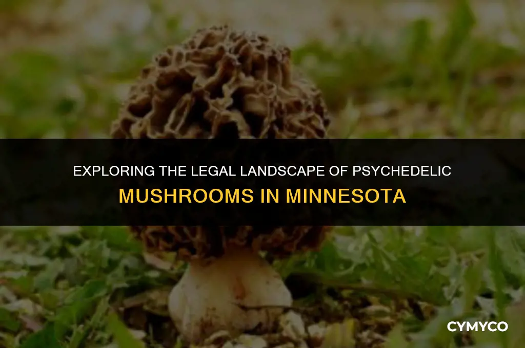 are psychedelic mushrooms legal in minnesota