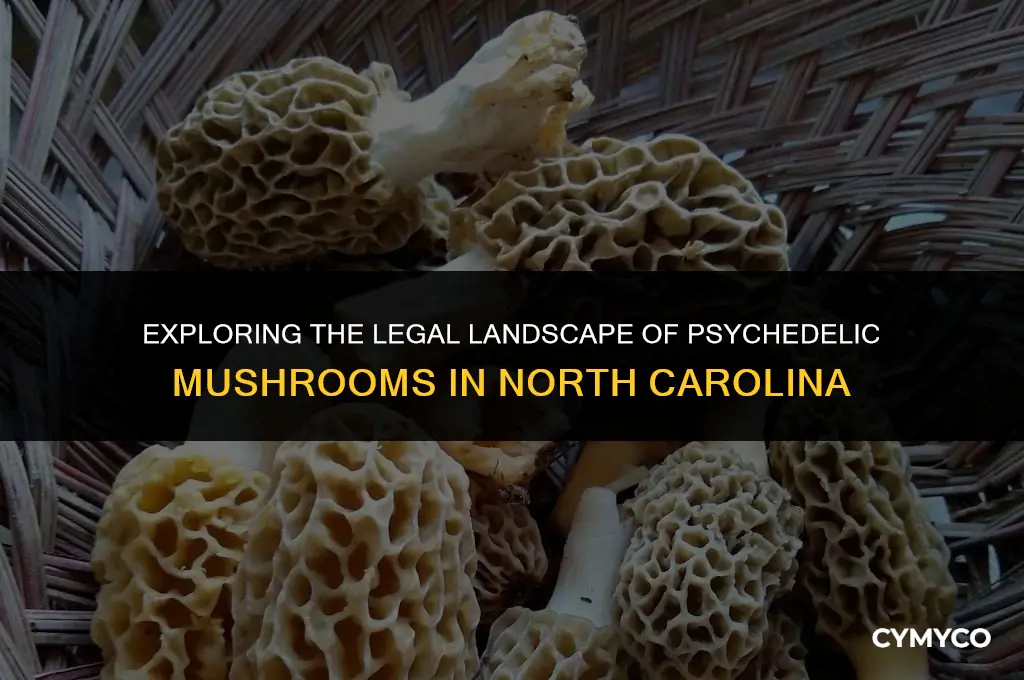 are psychedelic mushrooms legal in north carolina