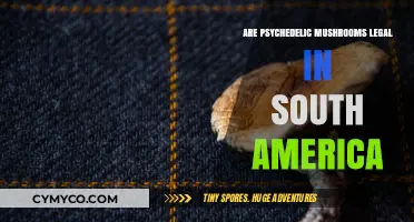 Exploring the Legal Landscape of Psychedelic Mushrooms in South America