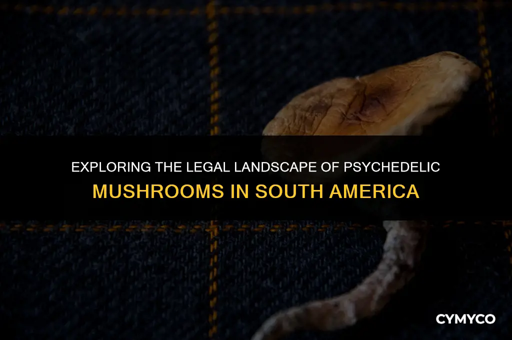 are psychedelic mushrooms legal in south america