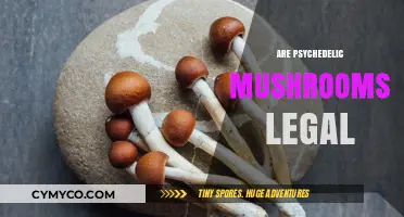 Exploring the Legal Landscape of Psychedelic Mushrooms: A Comprehensive Guide