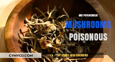 Exploring the Safety of Psychedelic Mushrooms: Poisonous or Not?