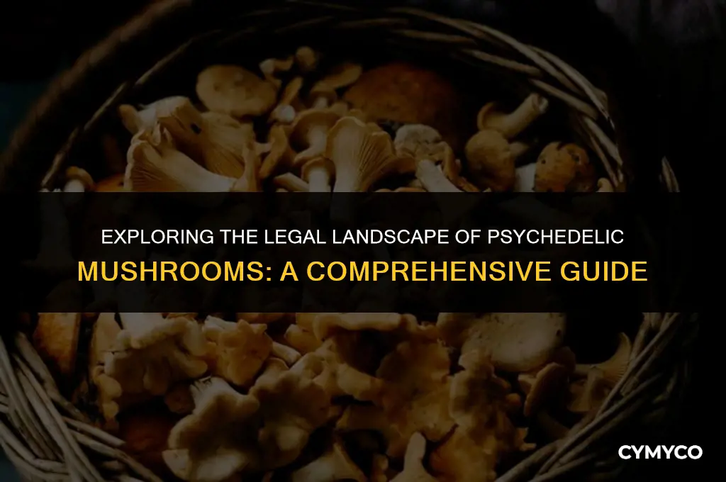 are psychodelic mushrooms legal